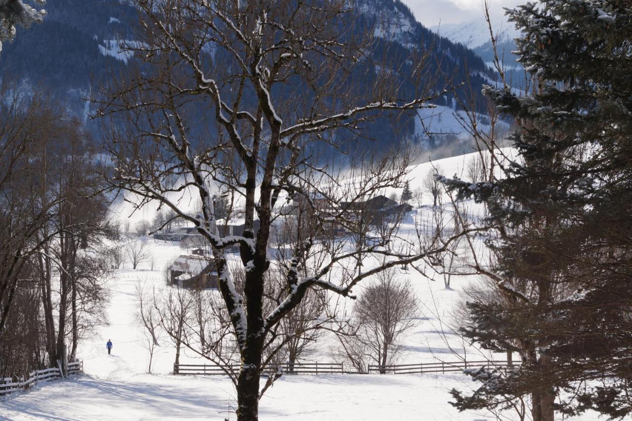 Apartment Alpenpanorama Гольдег Экстерьер фото